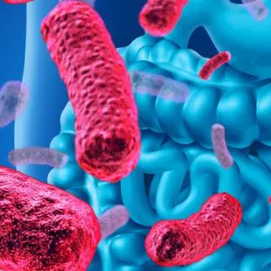 Disorders of the digestive tract and probiotic use – Dispelling myths