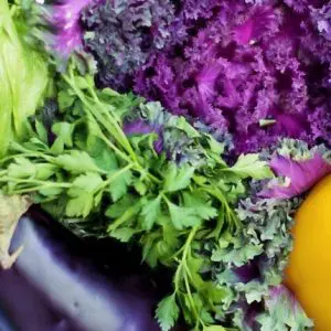 Environmentally sustainable diets - opportunities for nutrition professionals