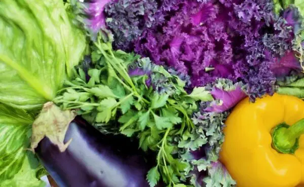 Environmentally sustainable diets - opportunities for nutrition professionals