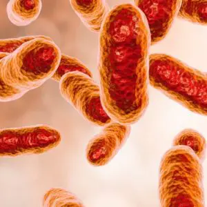 Manipulating the rumen microbiome