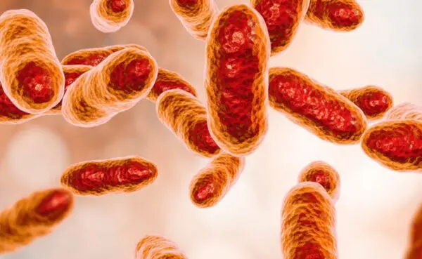Manipulating the rumen microbiome