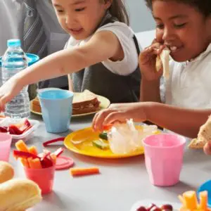 Vegan and vegetarian diets in children