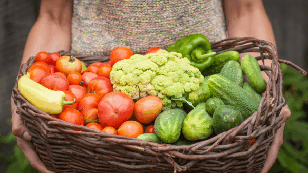 Plant-based diets - quality makes a difference