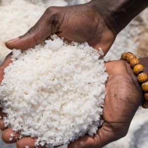 Iodine Nutrition - a lens on the Sub-saharan Africa population