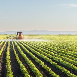 Bio-fortification - the international benefit