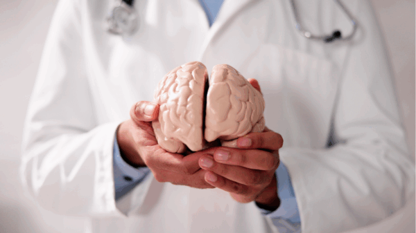Diet and the prevention of cognitive decline