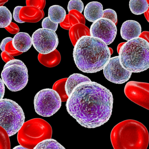 Vitamin D and the Immune system