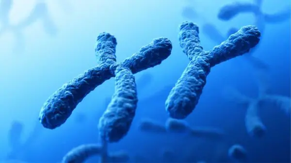 Sexual dimorphism in the context of nutrition and health